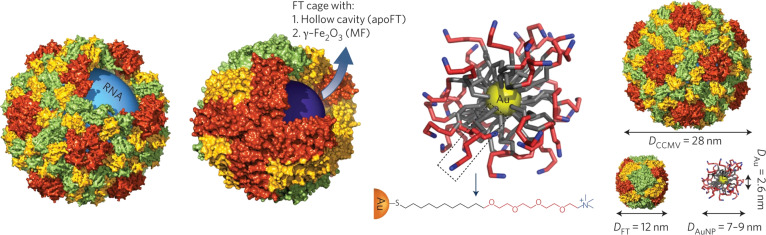 Fig. 8