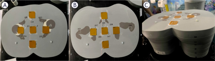 FIGURE 2