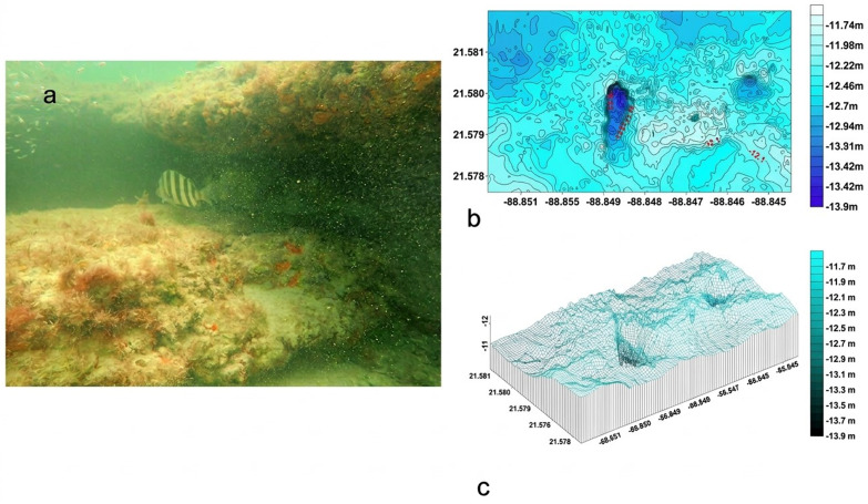 Fig 2