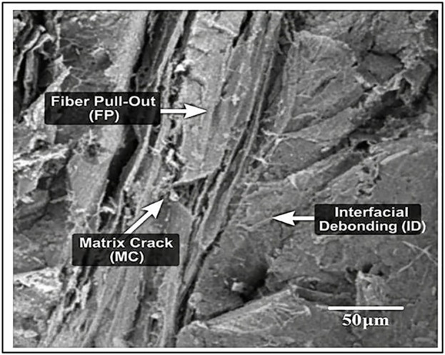 Fig 15