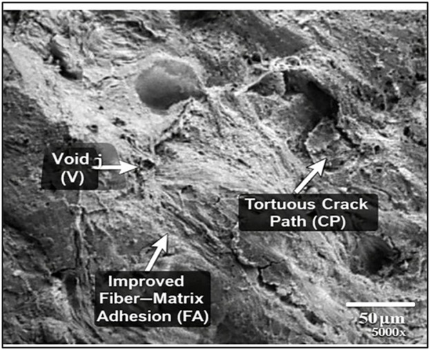 Fig 16