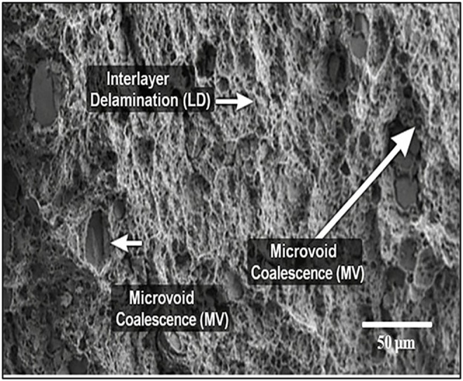 Fig 17