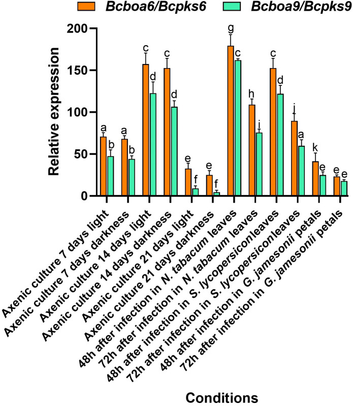 Fig 4