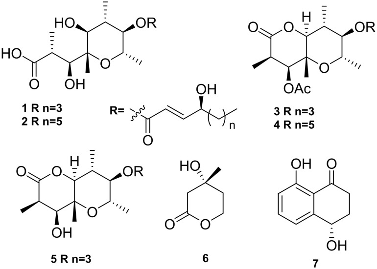 Fig 5