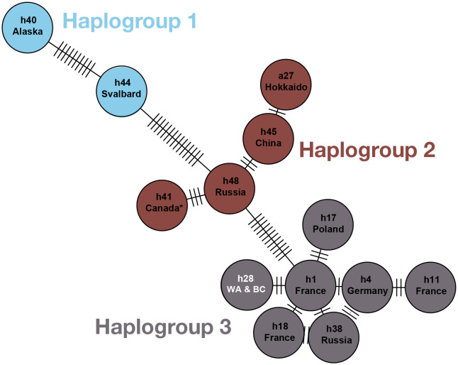 Fig 4