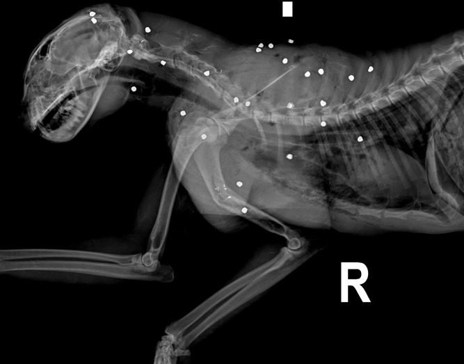 Fig 3