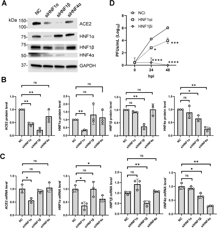 Fig 7
