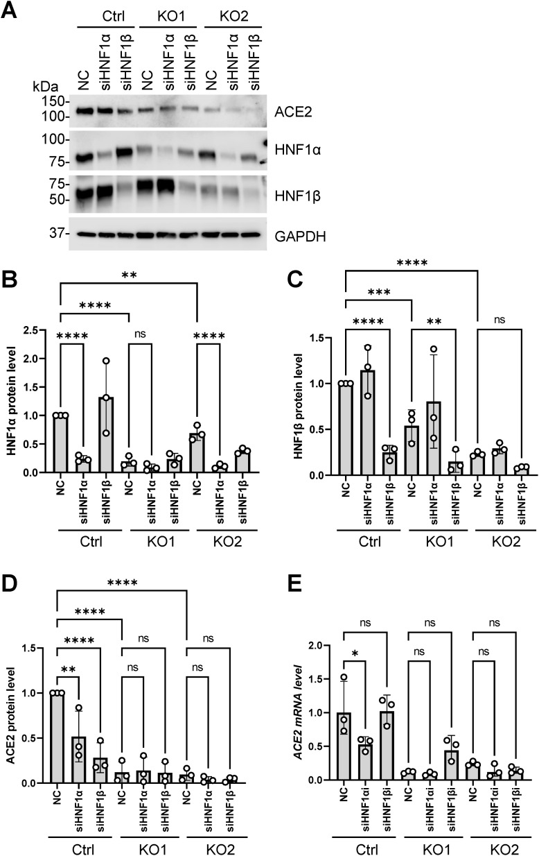 Fig 8