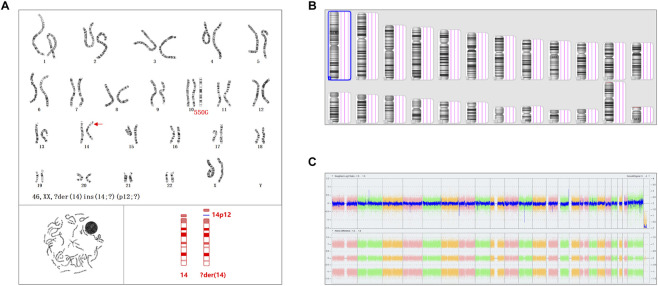 FIGURE 2