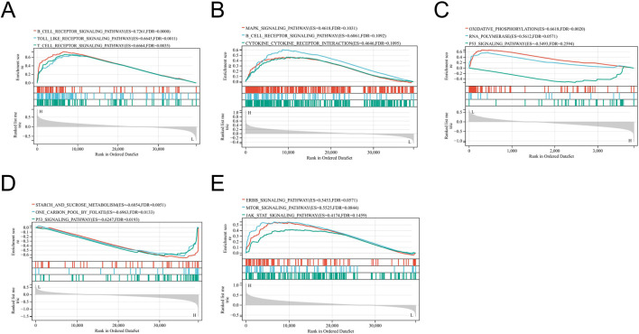 FIGURE 12