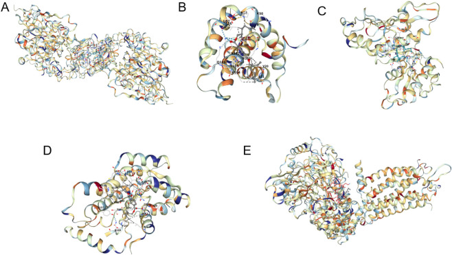 FIGURE 13