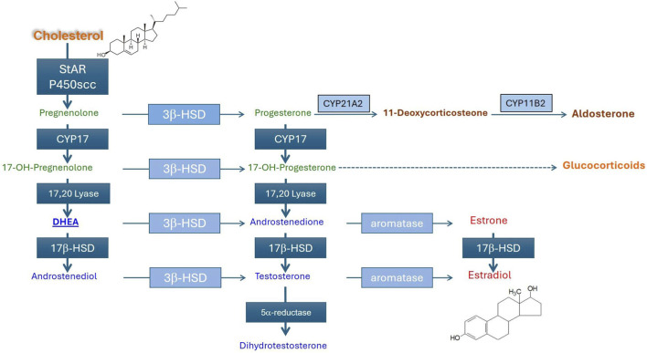 FIGURE 3