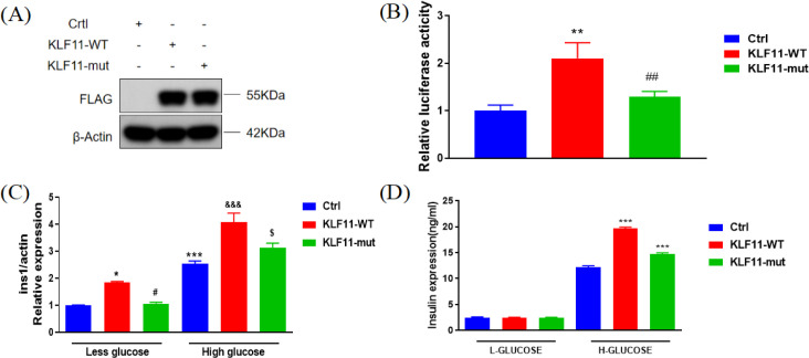 Figure 3