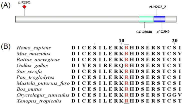 Figure 4