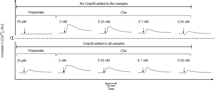 Figure 4