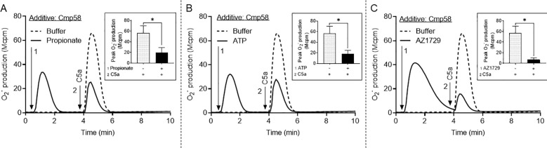 Figure 5