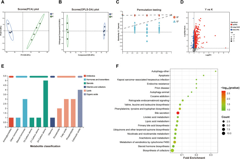 Figure 2