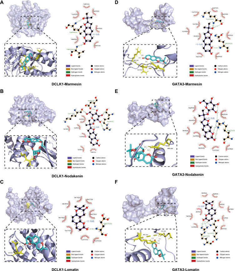 Figure 4