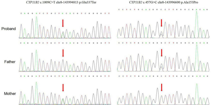 FIGURE 1