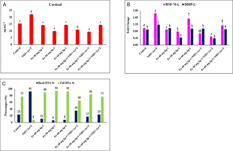 Figure 1