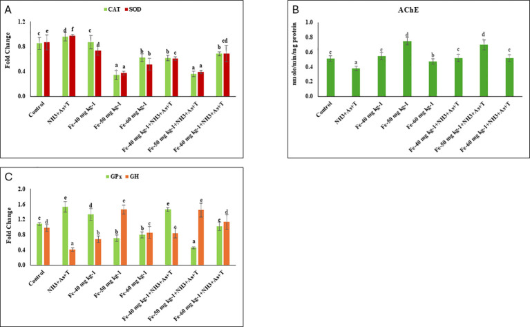 Figure 4