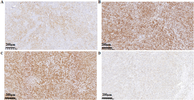 Figure 4