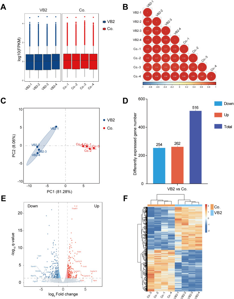 Figure 2