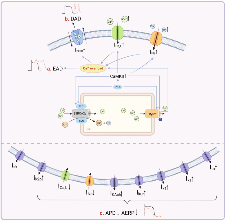 Figure 1