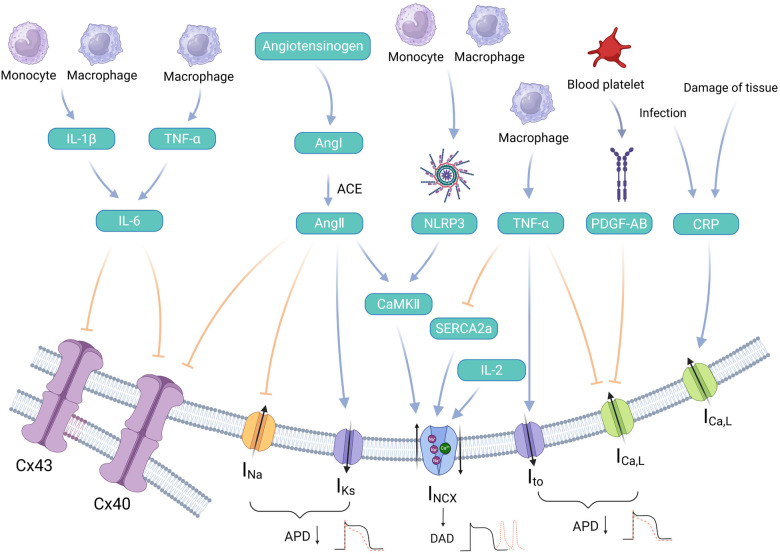 Figure 3