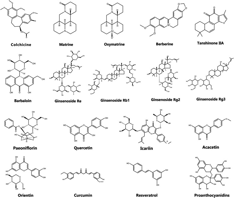 Figure 7