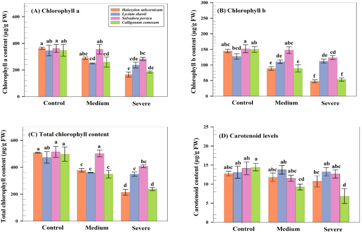 Figure 4