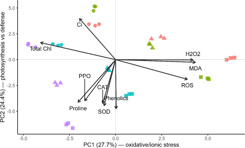 Figure 9