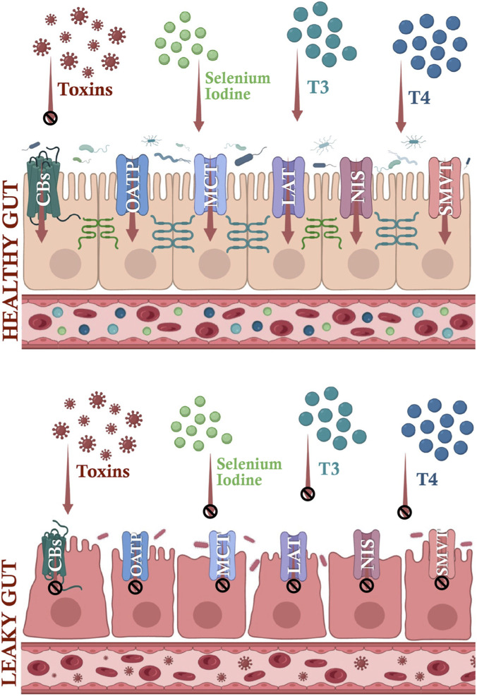 FIGURE 3