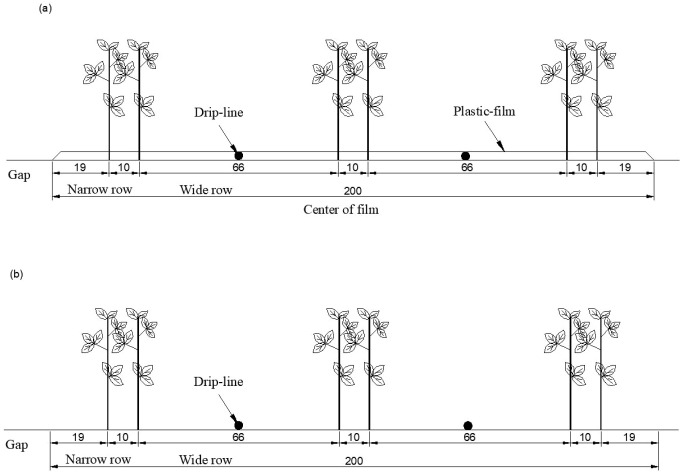 Figure 1