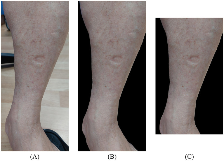 Figure 3