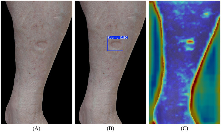 Figure 6
