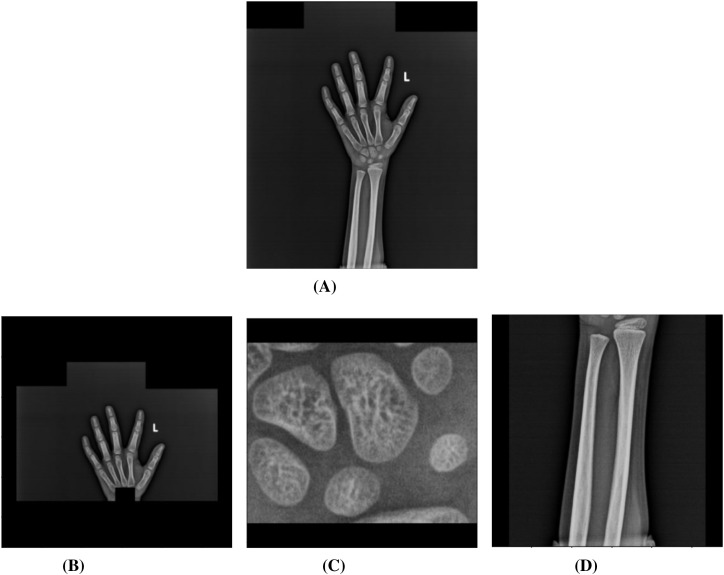 Figure 1