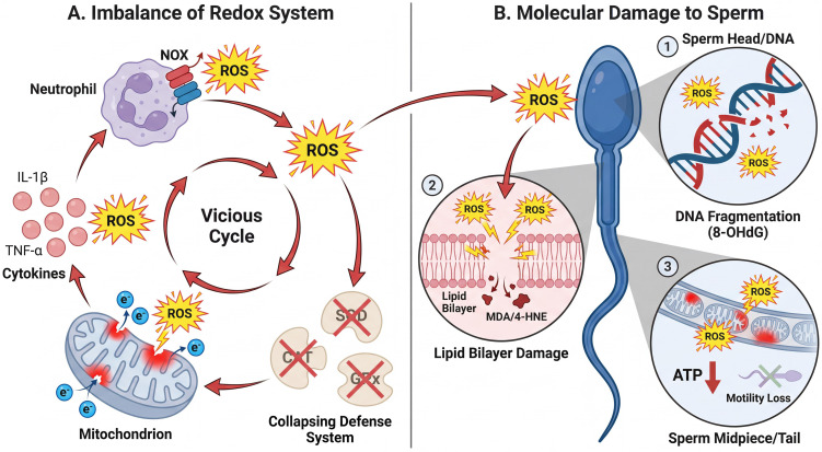 Figure 3