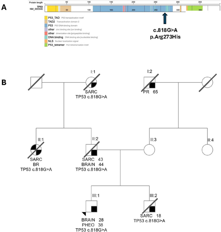 Figure 2