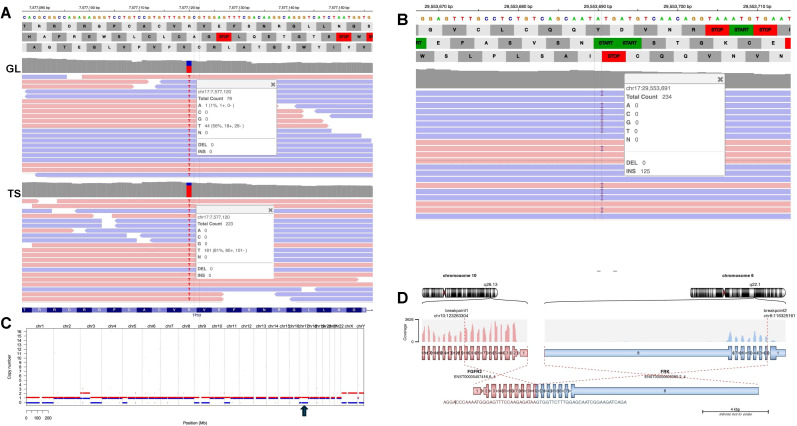 Figure 3