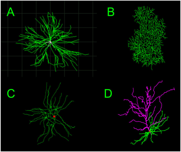 Figure 6