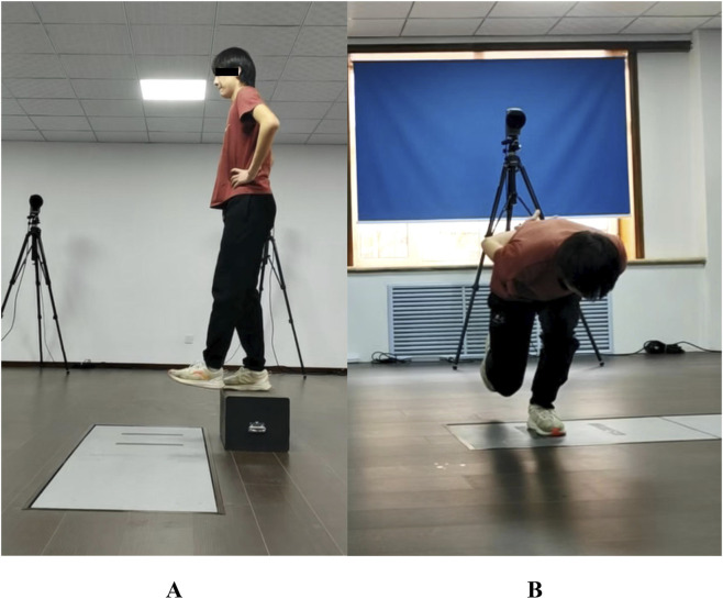 FIGURE 1