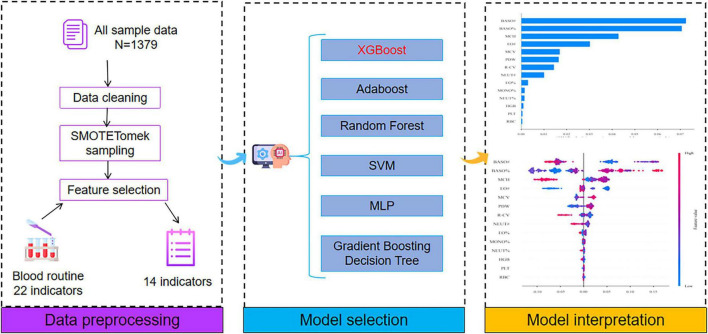 FIGURE 1
