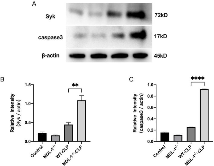 Figure 6