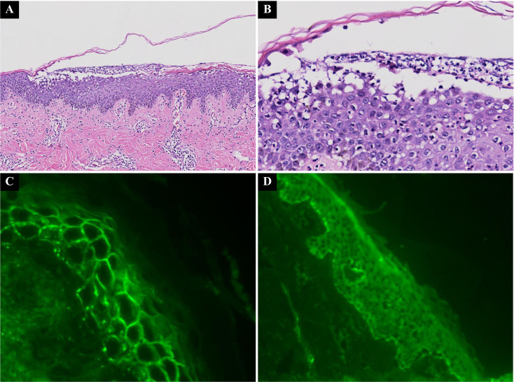 Figure 2
