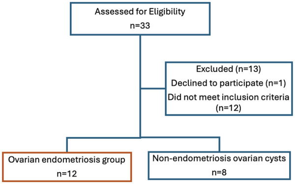 Figure 1
