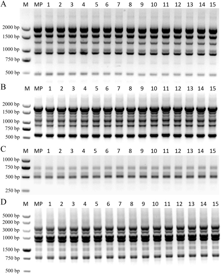 Figure 6