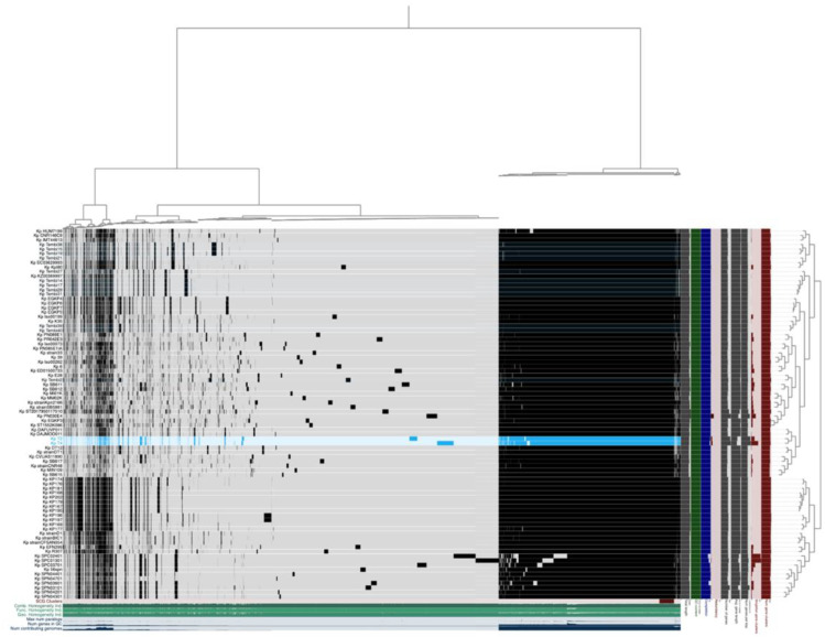 Figure 5