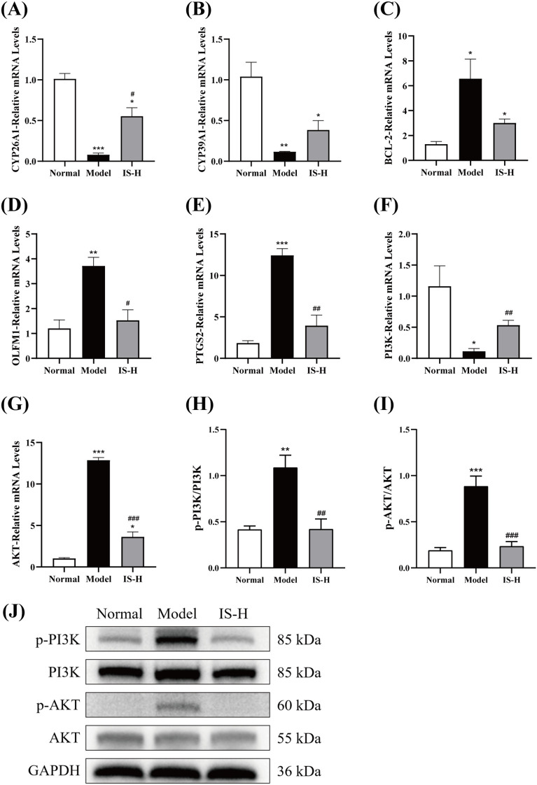 Figure 7