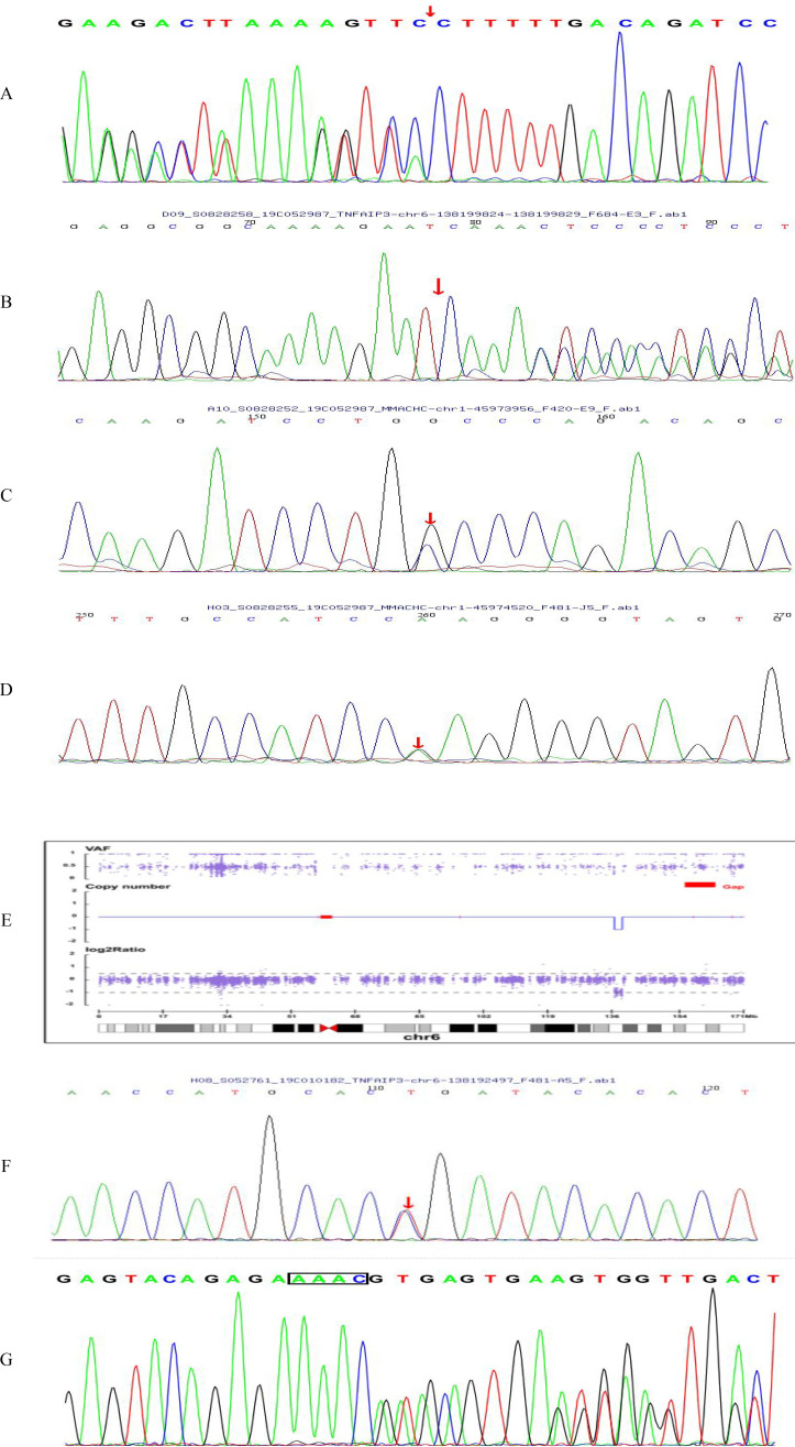 Figure 1